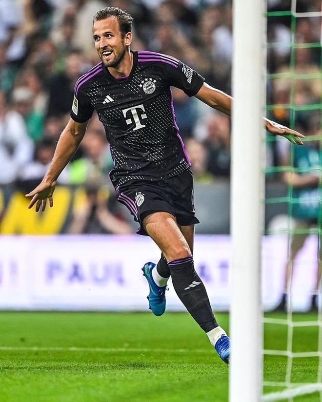 我们看到其 我们看到其